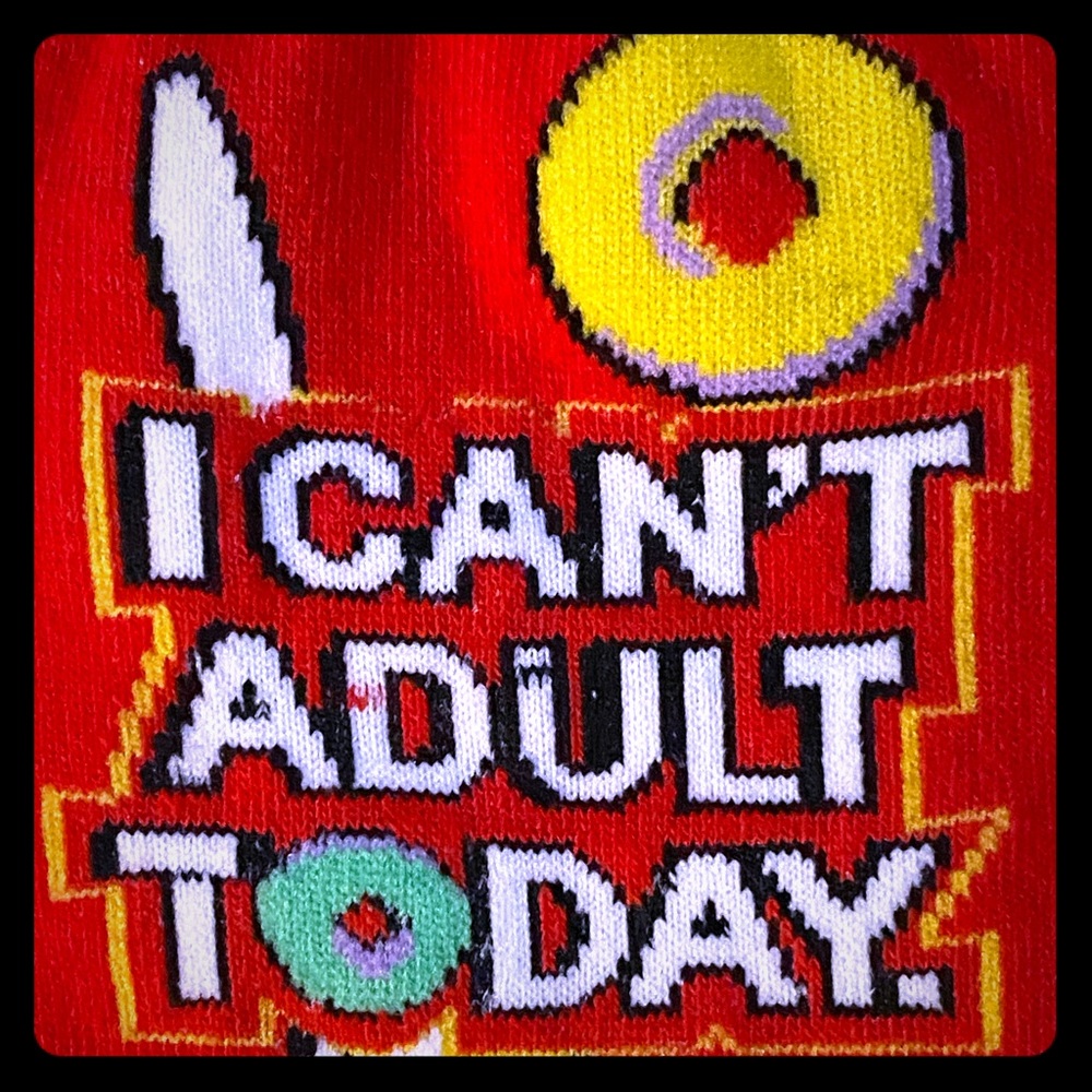 Funatic Funny Socks - I Cant Adult Today